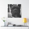 101419-22.jpg French Bulldog Standard Canvas
