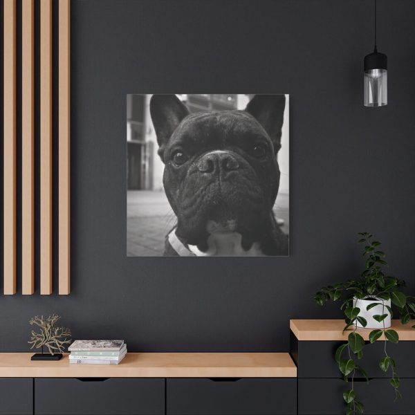 101419-23.jpg French Bulldog Standard Canvas