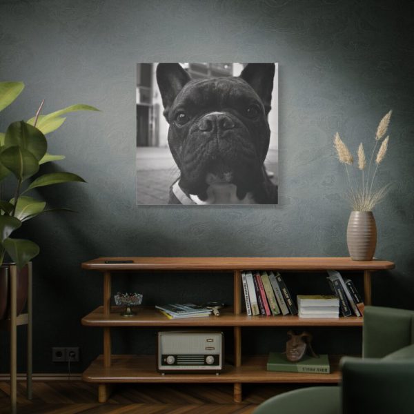 101419-24.jpg French Bulldog Standard Canvas