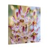 Boat Orchid Standard Canvas