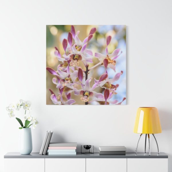 Boat Orchid Standard Canvas