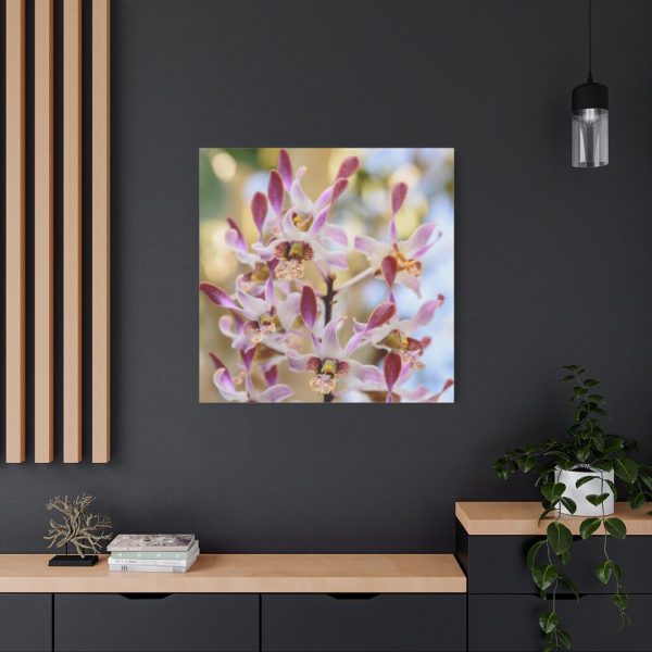 Boat Orchid Standard Canvas