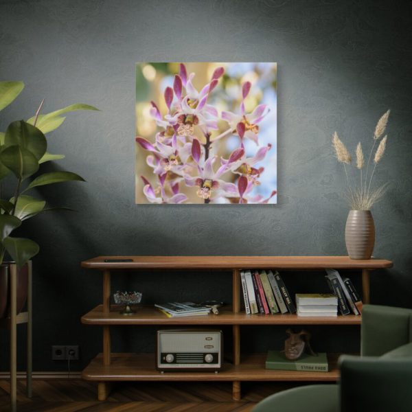 Boat Orchid Standard Canvas