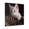 101419-40.jpg Kitten with Blue Eyes Standard Canvas