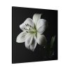 White Lily Standard Canvas