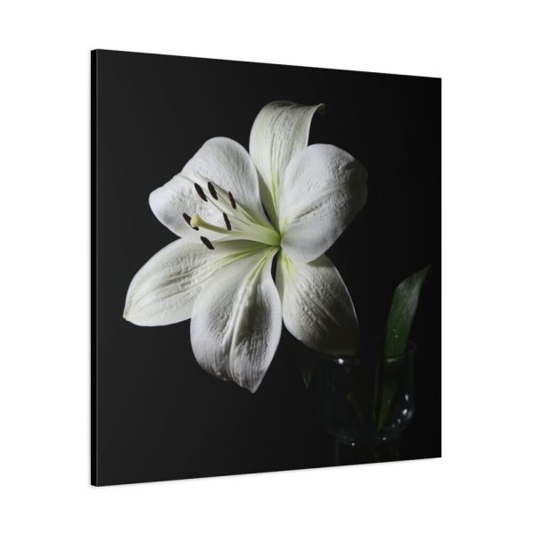 White Lily Standard Canvas