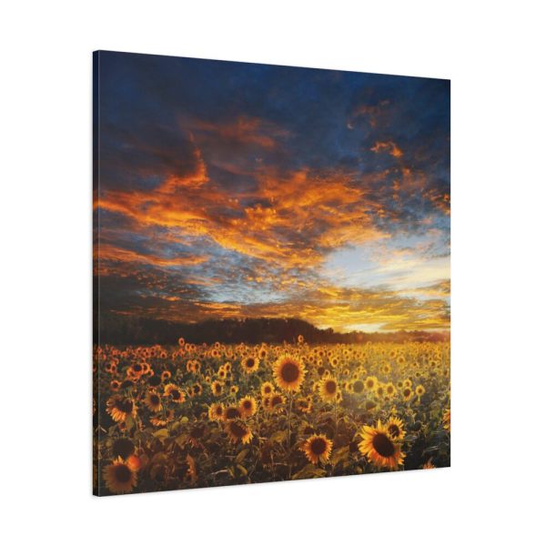 101419-50.jpg Sunrise View Standard Canvas