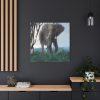 Art Painting Elephant Nature Standard Canvas