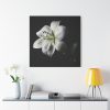 White Lily Standard Canvas