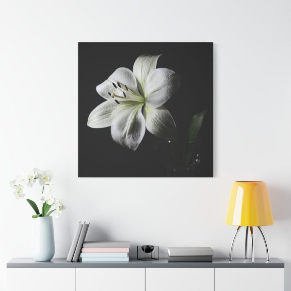 White Lily Standard Canvas