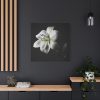 White Lily Standard Canvas