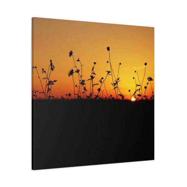 101419-80.jpg Sunset Standard Canvas