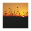 101419-81.jpg Sunset Standard Canvas