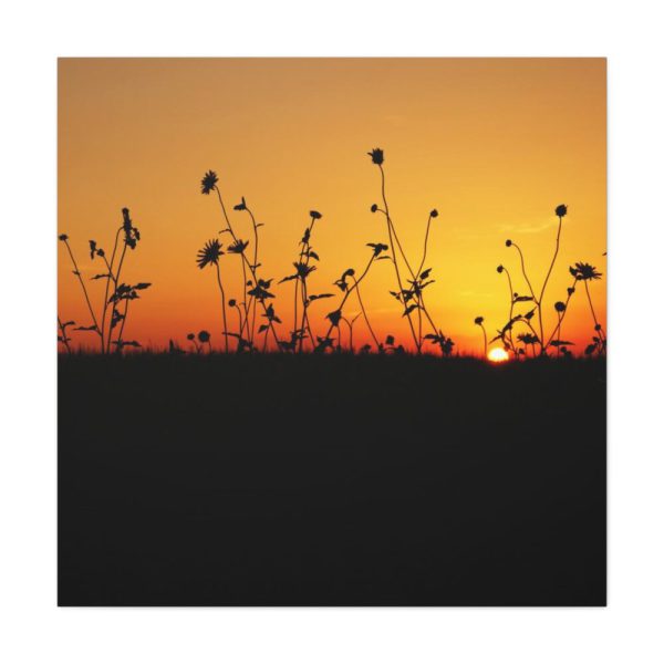 101419-81.jpg Sunset Standard Canvas