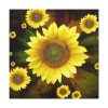 101419-91.jpg Spring Standard Canvas