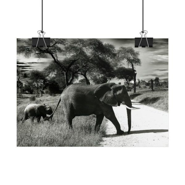 101857-11.jpg Mother and Baby Elephant on the Road Poster