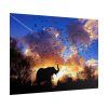 101857-2.jpg Elephants and Birds in the Nature Poster