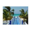 101857-25.jpg Sunny Beach With Palm Tree and Blue Sky Poster