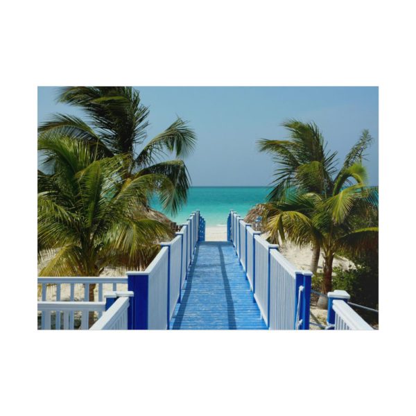 101857-25.jpg Sunny Beach With Palm Tree and Blue Sky Poster