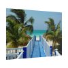 101857-27.jpg Sunny Beach With Palm Tree and Blue Sky Poster