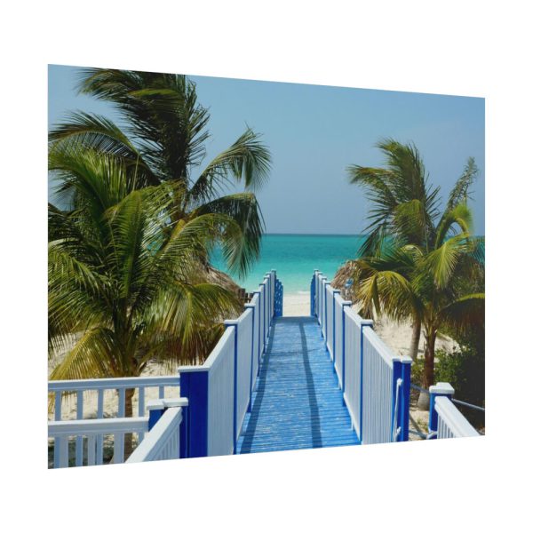 101857-27.jpg Sunny Beach With Palm Tree and Blue Sky Poster