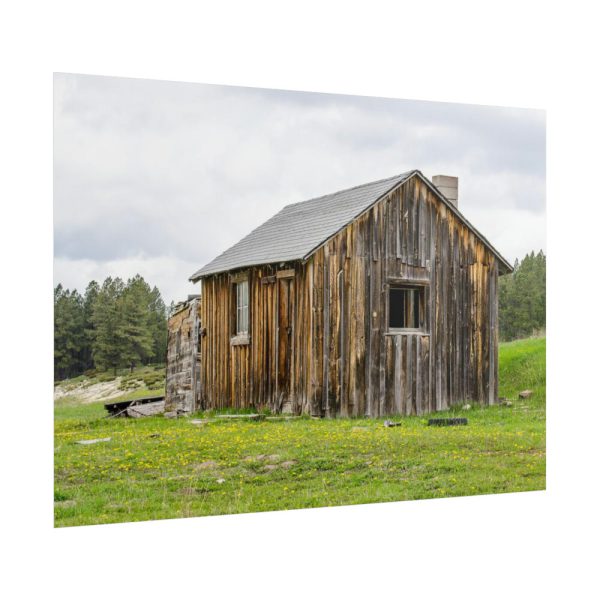 101857-47.jpg Old Cabin in Nature Poster