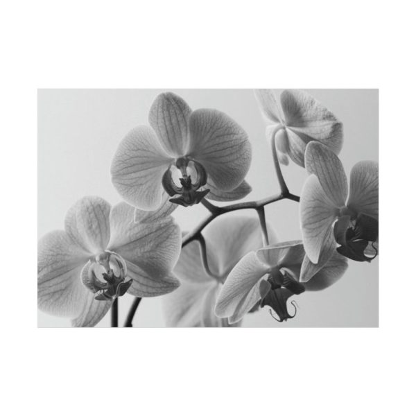 101875-100.jpg Orchid Meadow Poster