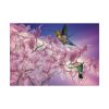 Pink Orchid Poster