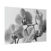 101875-102.jpg Orchid Meadow Poster