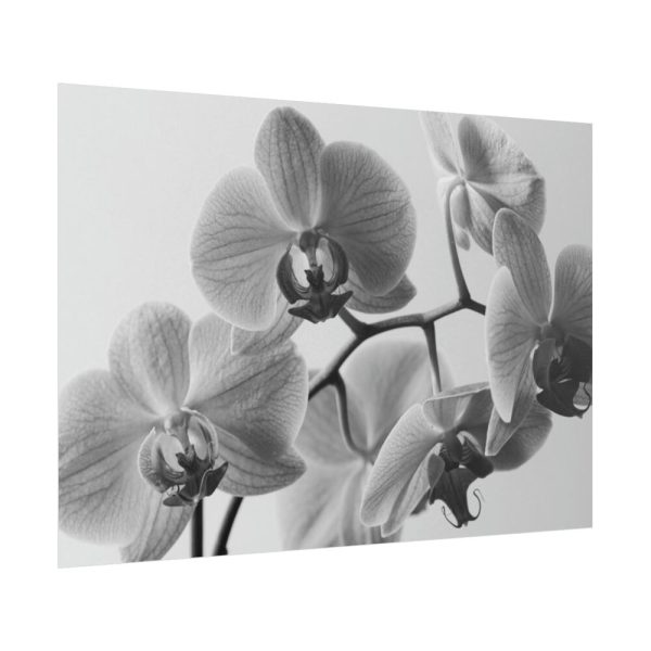 101875-102.jpg Orchid Meadow Poster