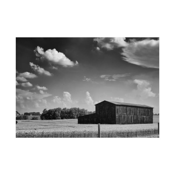 Black and White Barn Poster