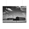 Black and White Barn Poster