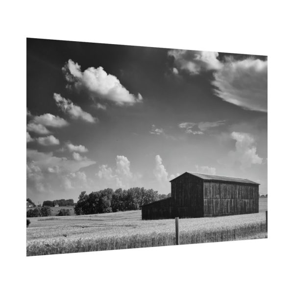 Black and White Barn Poster