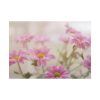 101875-115.jpg Blooming Pink Daisies Poster