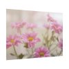 101875-117.jpg Blooming Pink Daisies Poster
