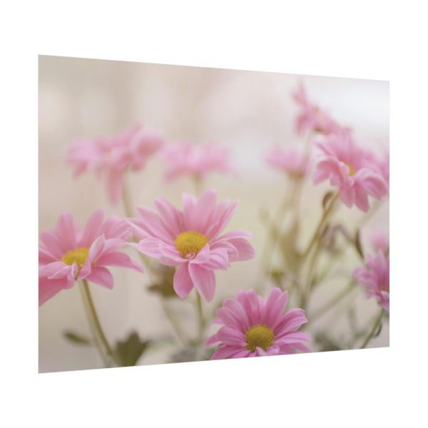 101875-117.jpg Blooming Pink Daisies Poster