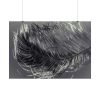 101875-1198.jpg Bird Feather Poster