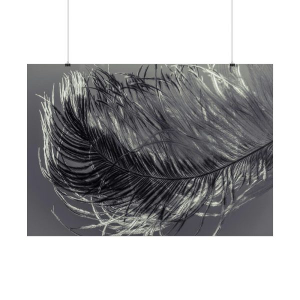 101875-1198.jpg Bird Feather Poster
