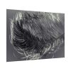 101875-1199.jpg Bird Feather Poster