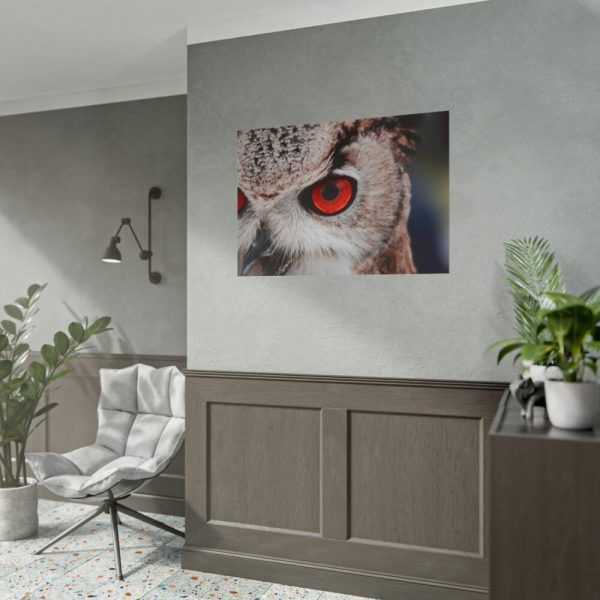 101875-1211.jpg Eye of Owl Poster