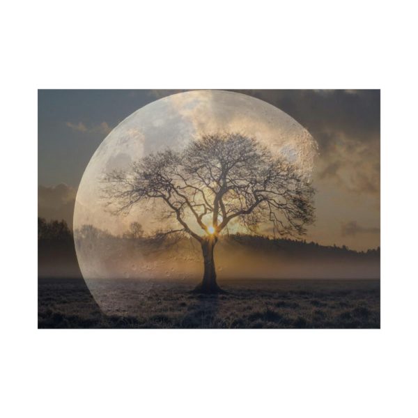 Moon Tree Atmosphere Poster