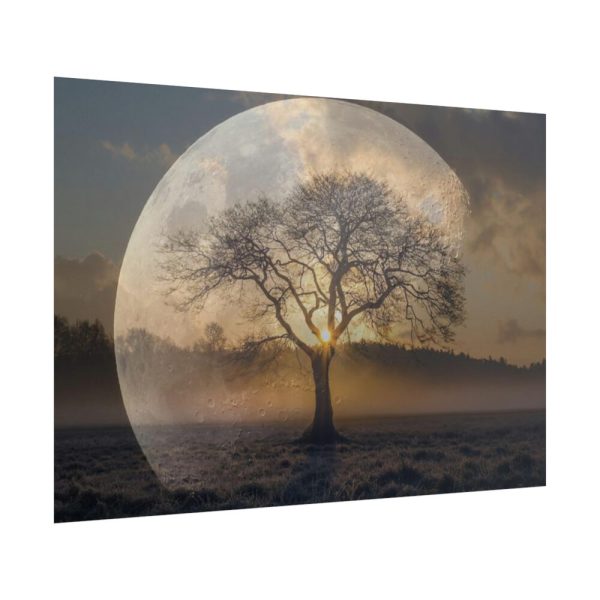 Moon Tree Atmosphere Poster