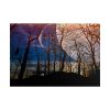 101875-1232.jpg Full Moon and Forest Night Darkness Poster