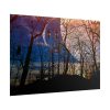 101875-1234.jpg Full Moon and Forest Night Darkness Poster