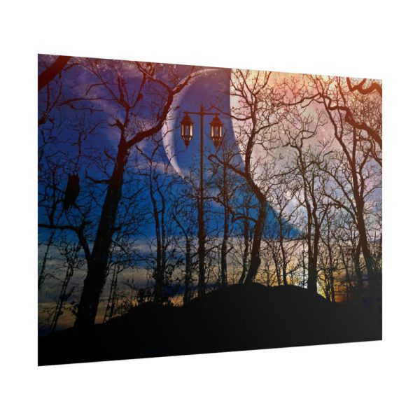 101875-1234.jpg Full Moon and Forest Night Darkness Poster