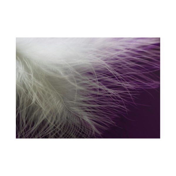 101875-1247.jpg Featherweight Poster