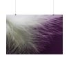 101875-1248.jpg Featherweight Poster