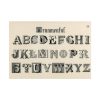 101875-1257.jpg Draughtsman's Alphabets by Hermann Esser Poster