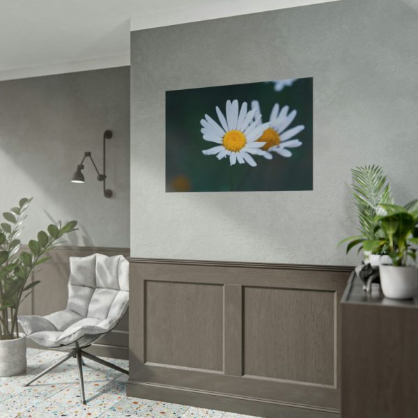 101875-129.jpg Wild Daisy Poster