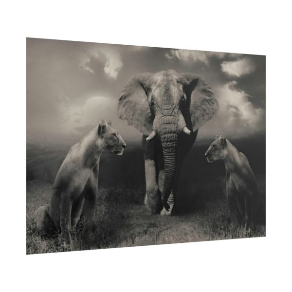 101875-137.jpg Big Elephant with Two Lion Poster